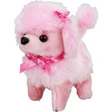 Sunman Sevimli Köpek Poodle