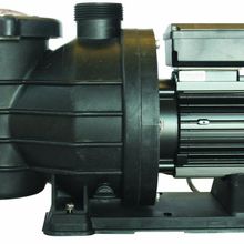 Superpool SMP Serisi 1,5 Hp Monofaze Havuz Pompası