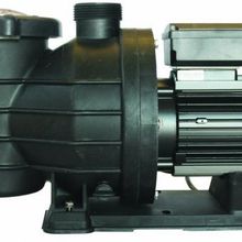 Superpool SMP Serisi 1,5 Hp Trifaze Havuz Pompası