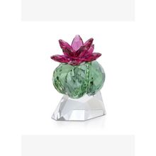Swarovski 5426978 Ev Dekorasyonu