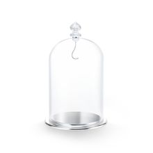 Swarovski 5527606 Bell Jar Dısplay, Large Ev Dekorasyonu Objesi