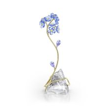 Swarovski 5666971 Florere Forget-Me-Not Ev Dekorasyonu
