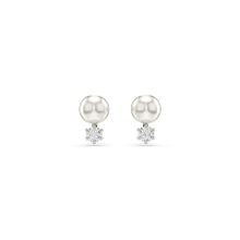 Swarovski 5694225 Kadın Küpe