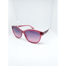Swing 260 C116 55 Unisex Güneş Gözlüğü