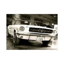 Tabloshop 1967 Model Ford Mustang 75x50 cm Tablo