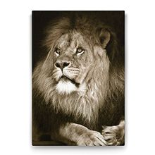 Tabloshop Aslan 60x90 cm Tablo