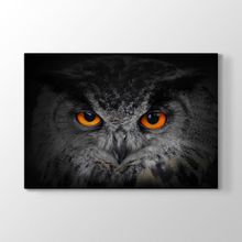 Tabloshop Baykuş Gözleri 75x50 cm Tablo