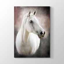 Tabloshop Beyaz At 40x60 cm Tablo