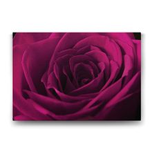 Tabloshop Bordo Gül 140x100 cm Tablo
