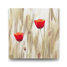 Tabloshop Gelincik Çiçeği 90x90 cm Tablo