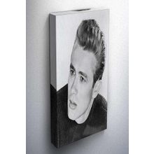 Tabloshop James Dean Kanvas Tablo