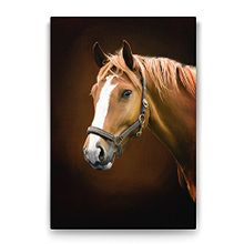 Tabloshop Kahverengi At Profil 40x60 cm Tablo