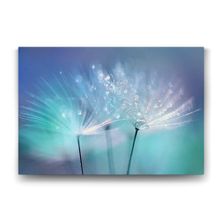 Tabloshop Karahindiba 100x70 cm Tablo