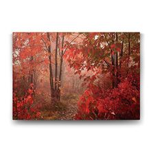 Tabloshop Kırmızı Çınar Yapraklı 60x40 cm Tablo