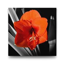 Tabloshop Kırmızı Soyut Çiçek 100x100 cm Tablo