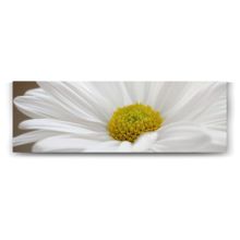 Tabloshop Papatya Çiçeği 180x60 cm Tablo