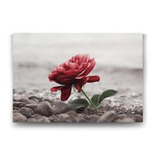 Tabloshop Sahilde Kırmızı Gül 45x30 cm Tablo