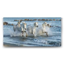Tabloshop Sahilde Koşan Atlar 160x80 cm Tablo