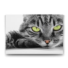 Tabloshop Sarı Gözlü Kedi 60x40 cm Tablo