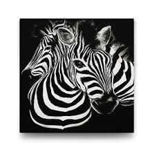 Tabloshop Siyah Beyaz Zebra 100x100 cm Tablo