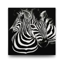 Tabloshop Siyah Beyaz Zebra 60x60 cm Tablo