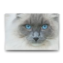 Tabloshop Van Kedisi 45x30 cm Tablo