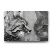 Tabloshop Yeşil Gözlü Kedi 75x50 cm Tablo