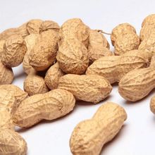 Tadım 250 gr Kavrulmuş Kabuklu Yer Fıstığı