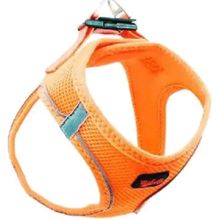 Tailpetz Air Mash Harness Turuncu XLarge Göğüs Tasması