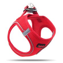 Tailpetz Air Mesh Harness Neon Kırmızı L Köpek Göğüs Tasması