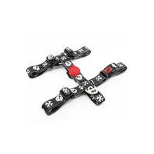 Tailpetz Boo Harness H Tipi Köpek Tasması