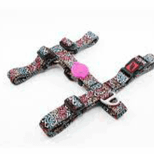 Tailpetz Graffiti Medium Göğüs Tasması
