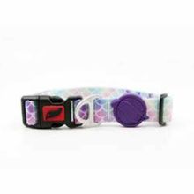 Tailpetz Large 40-65 cm Bubbless Desenli Köpek Boyun Tasması
