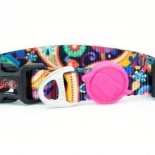 Tailpetz Paisley Collar XS Köpek Boyun Tasması