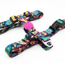 Tailpetz Paisley Desenli Xsmall 19-33x22-37 cm Köpek Boyun Tasması