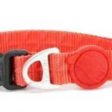 Tailpetz Prism Collar M Köpek Boyun Tasması