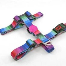Tailpetz Wave Desenli 19-33x22-37 cm Köpek Göğüs Tasması