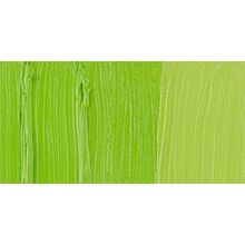 Talens RT2086173 200 ml Yellowısh Green Van Gogh Yağlı Boya