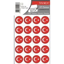 Tanex BYRK-106 25x25 mm 40'lı Paket Türk Bayrağı