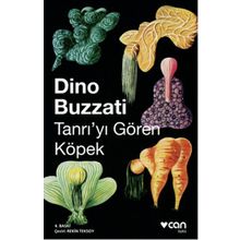 Tanrıyı Gören Köpek - Dino Buzzati