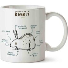 Tavşan Anatomisi Anatomy of A Rabbit Baskılı Kupa