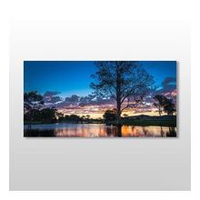 Technopa Ağaç ve Göl 240x120 cm Kanvas Tablo