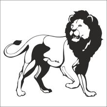 Technopa Aslan Lion 200 cm Folyo Duvar Stickerı