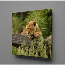 Technopa Aslan Mekanik 80x80 cm Kanvas Tablo
