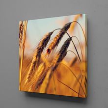Technopa Başak Salkımı 70x70 cm Kanvas Tablo