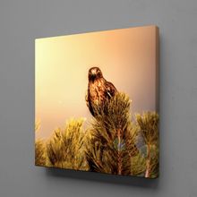 Technopa Baykuş 120x120 cm Kanvas Tablo