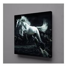 Technopa Beyaz At 70x70 cm Kanvas Tablo