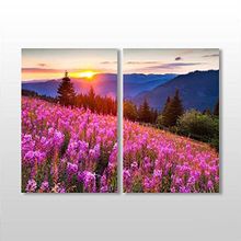 Technopa Beyaz Çerçeve Akasya Ve Muhteşem Doğa 40x30 cm Kanvas Tablo