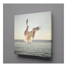 Technopa Beyaz Martı 25x25 cm Kanvas Tablo
