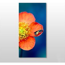 Technopa Çiçekteki Böcek 50x75 cm Kanvas Tablo